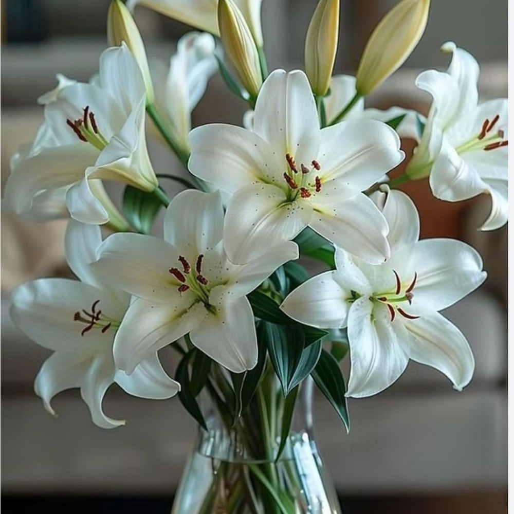 Elegant White Lily Bouquet